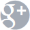 Google+ logo