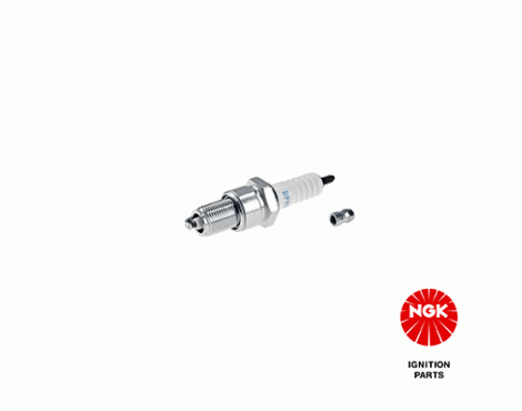 NGK Spark Plug