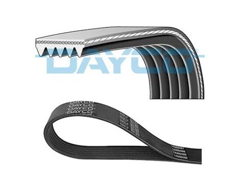 DAYCO V-Ribbed Belt