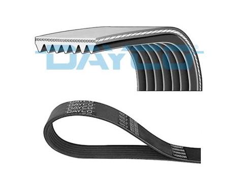 DAYCO V-Ribbed Belt