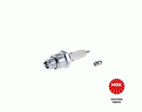 NGK Spark Plug