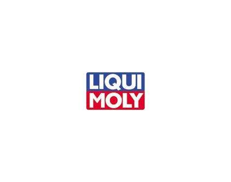 LIQUI MOLY Fuel Additive Diesel Purge